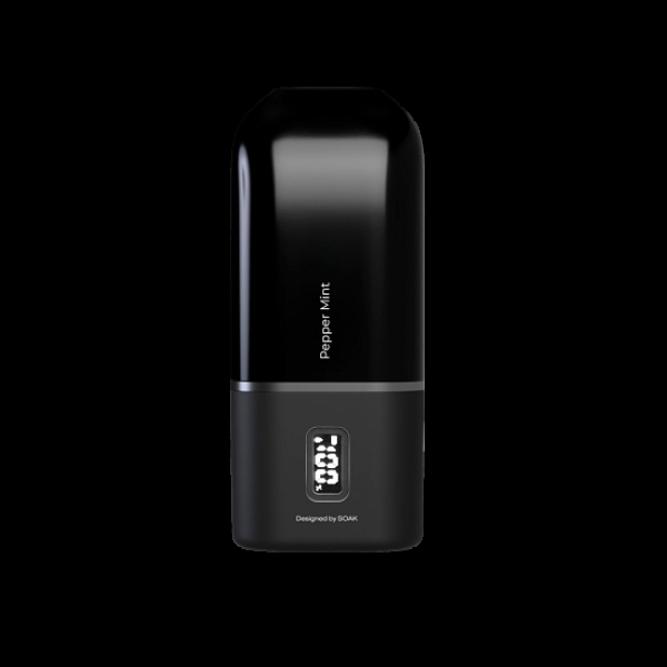 Электронка Soak 13 Pepper Mint Перечная Мята 13000 затяжек в Якутске